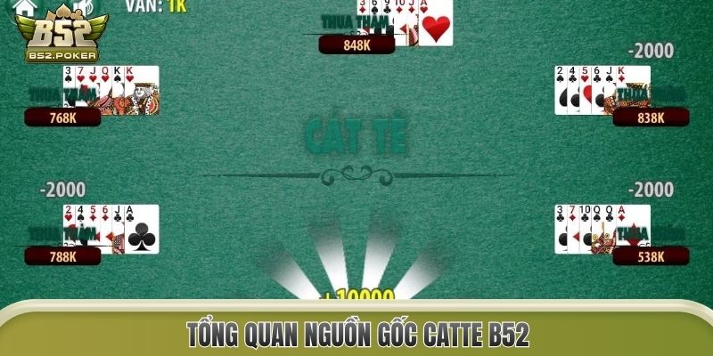 Tổng quan nguồn gốc Catte B52